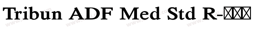 Tribun ADF Med Std R字体转换 Tribun ADF Med Std R字体转换
